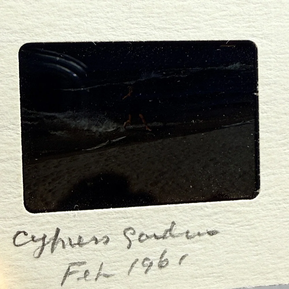 Vintage Florida Cypress Gardens 35mm Slides 1961 Water Skiing 9pc Set Multi‎